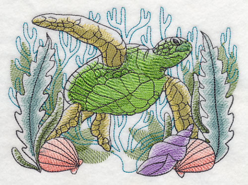 Tropical Sea Turtle Sketch