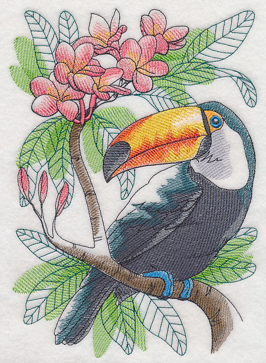Tropical Toucan Sketch