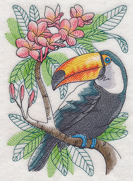Tropical Toucan Sketch
