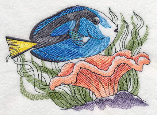 Tropical Blue Tang Sketch