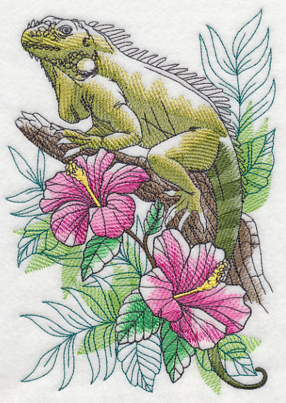 Tropical Iguana Sketch