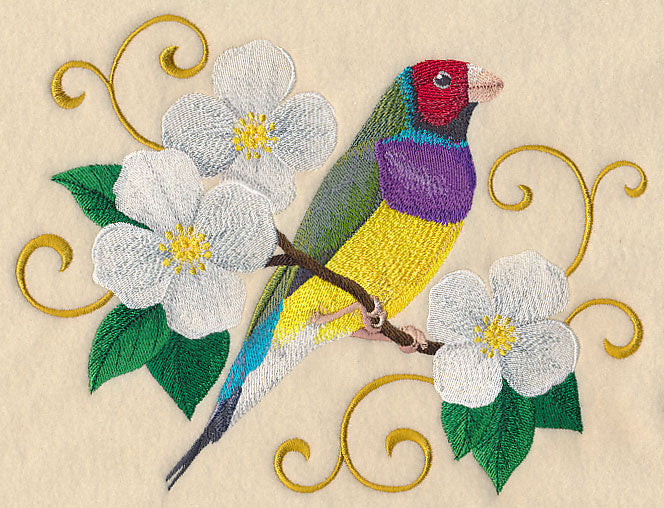Gouldian Finch with Filigree