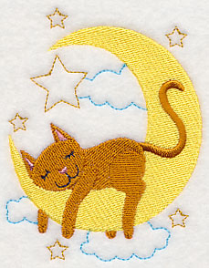 Sleepy Cat on Moon