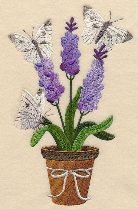 Lavender and Butterfly in Pot