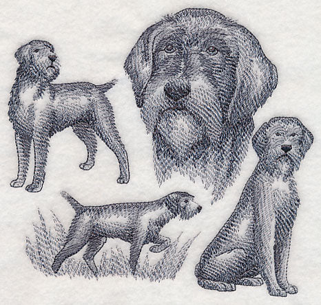 Wirehaired Pointing Griffon Sketch (Docked Tail)