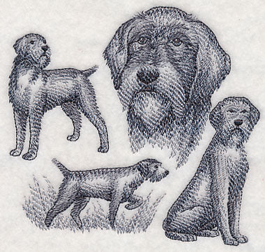 Wirehaired Pointing Griffon Sketch (Docked Tail)