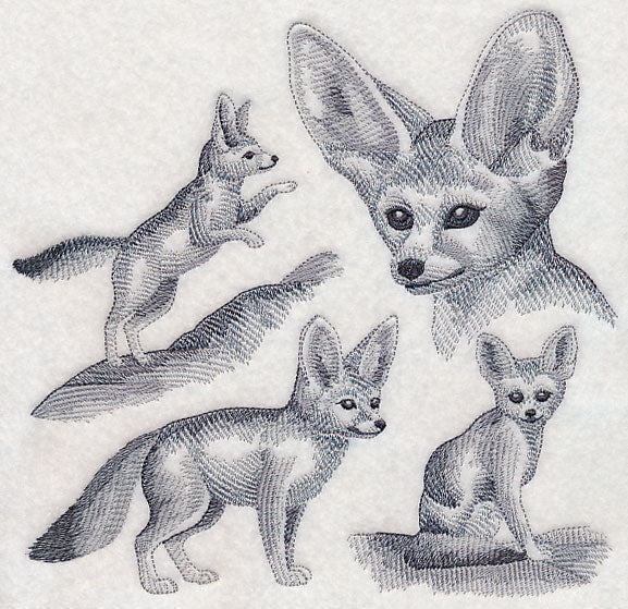 Fennec Fox Sketch