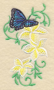 Frangipani and Butterfly Flourish