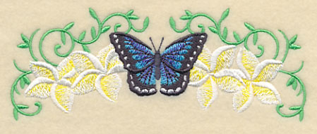 Frangipani and Butterfly Border