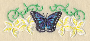 Frangipani and Butterfly Border