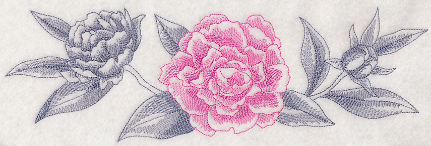 Peony Border (Toile)