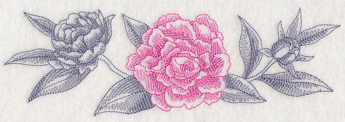 Peony Border (Toile)