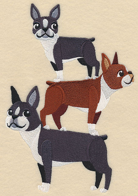 Boston Terrier Stack