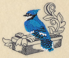 Blue Jay and Gift
