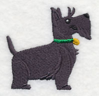 Scottish Terrier - Green Collar