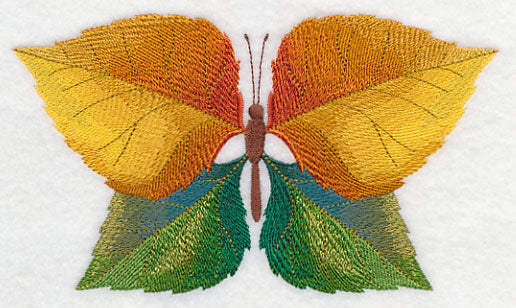 Cottonwood Leaf Butterfly