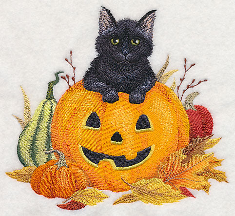 Too Cute to Spook Kitten
