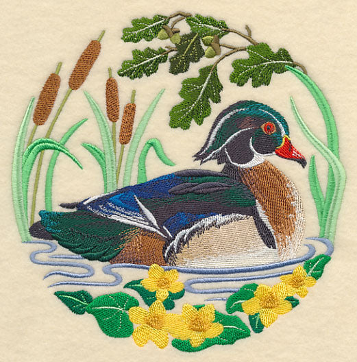 Wood Duck Scene