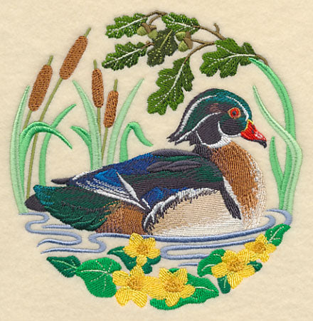 Wood Duck Scene