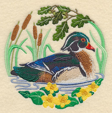 Wood Duck Scene