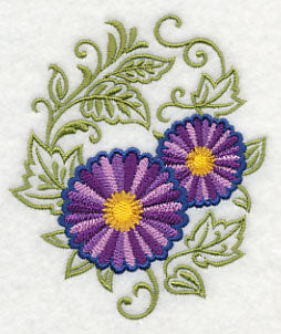 Asters Echo in Bloom