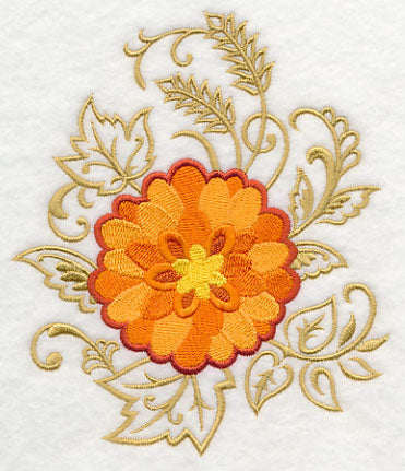 Chrysanthemum Echo in Bloom