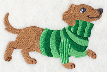 Dachshund in Sweater