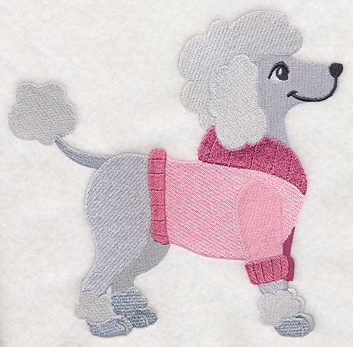 Poodle in Sweater