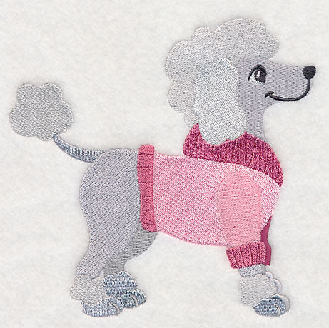 Poodle in Sweater