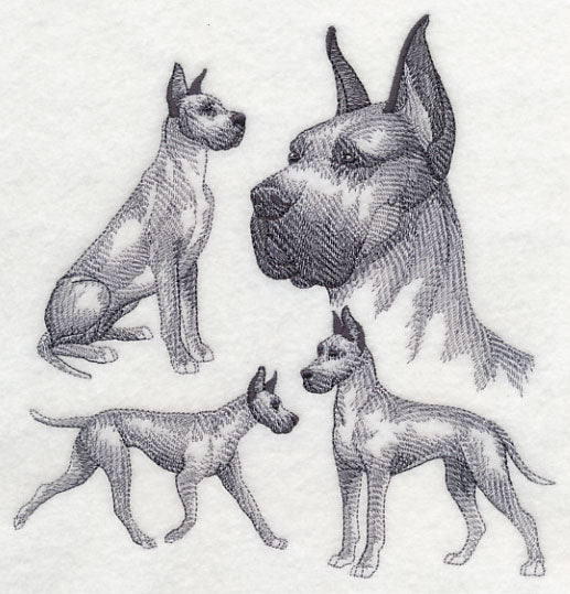 Great Dane Sketch (Cropped Ears)