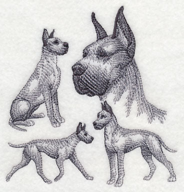 Great Dane Sketch (Cropped Ears)