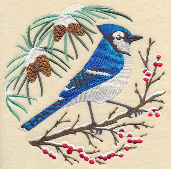 Blue Jay Scene