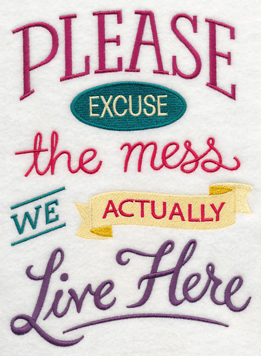 Excuse The Mess Live Here