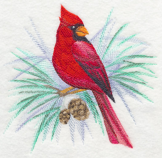 Cardinal (Male) in Watercolor