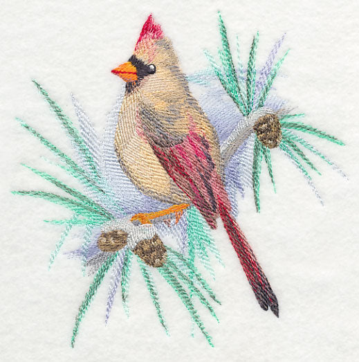 Cardinal (Female) in Watercolor