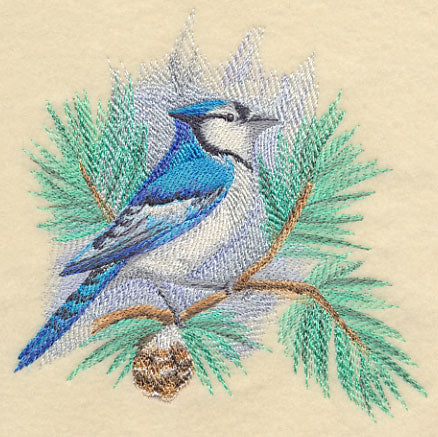Blue Jay in Watercolor
