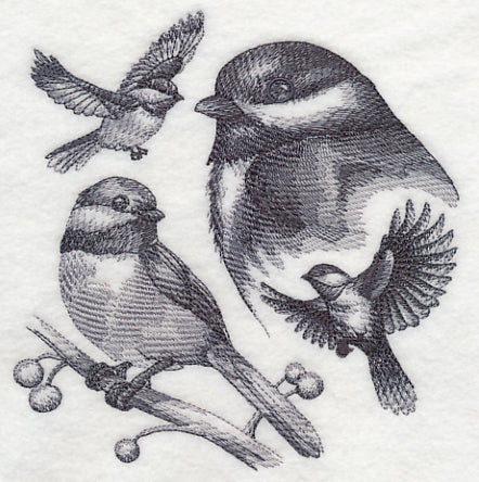 Chickadee Sketch