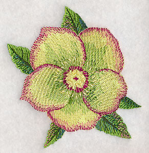 Lenten Rose Bloom in Watercolor