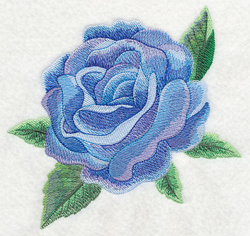 Blue Rose Bloom in Watercolor