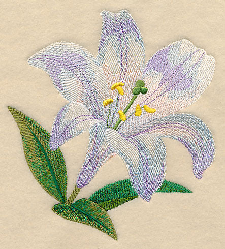 White Lily Bloom in Watercolor