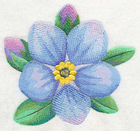 Forget-Me-Not Bloom in Watercolor