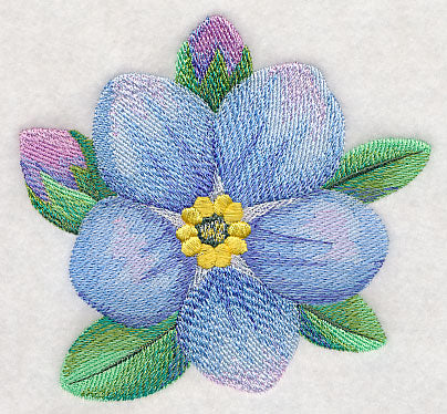 Forget-Me-Not Bloom in Watercolor