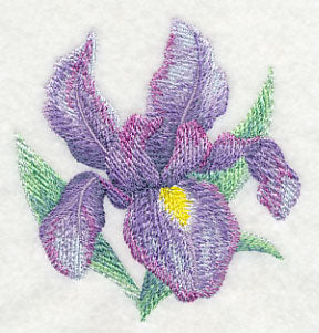 Iris Bloom in Watercolor