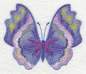 Morning Glory Butterfly in Watercolor