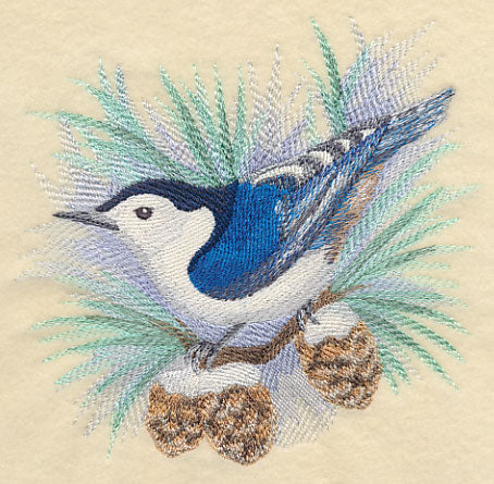 Nuthatch in Watercolor