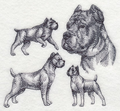 Cane Corso Sketch (Docked Tail and Cropped Ears)