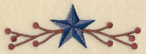 Barn Star Border