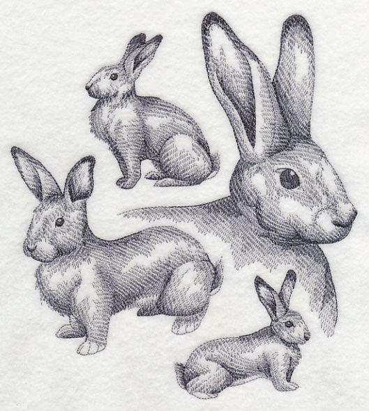 Flemish Giant Rabbit Sketch