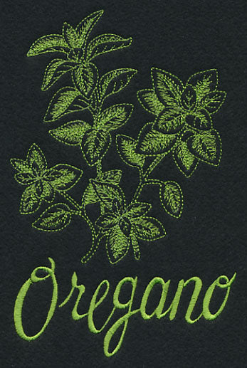Herb Sketch - Oregano