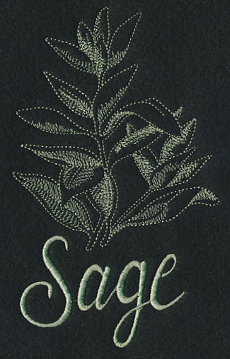 Herb Sketch - Sage